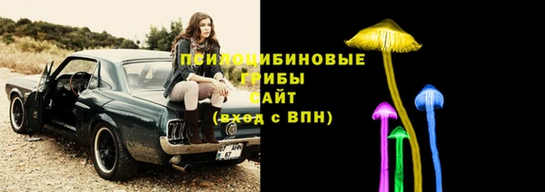 амф Белокуриха