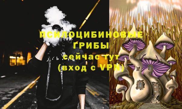 амф Белокуриха